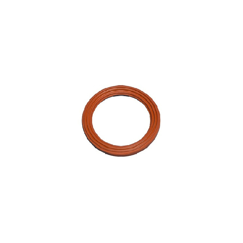343317 2in Viton Ribbed Outlet Gasket