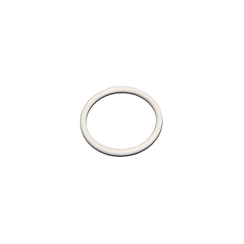 345966 2in PTFE Gasket for 3:1 Vent